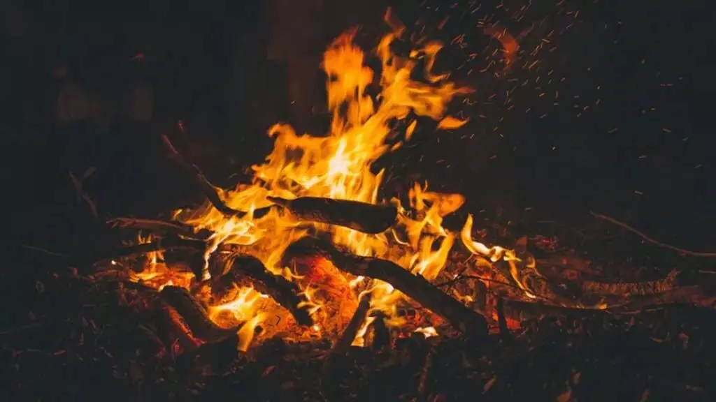 Lohri Importance: लोहड़ी की अग्नि में क्या-क्या चीजें डाली जाती हैं, क्या है उनका महत्व