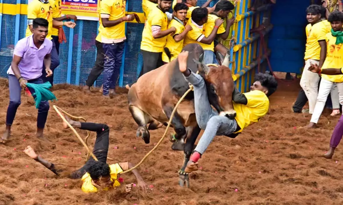 Tamil Nadu: मद्रास हाईकोर्ट ने मदुरै जिला प्रशासन से जवाब मांगा