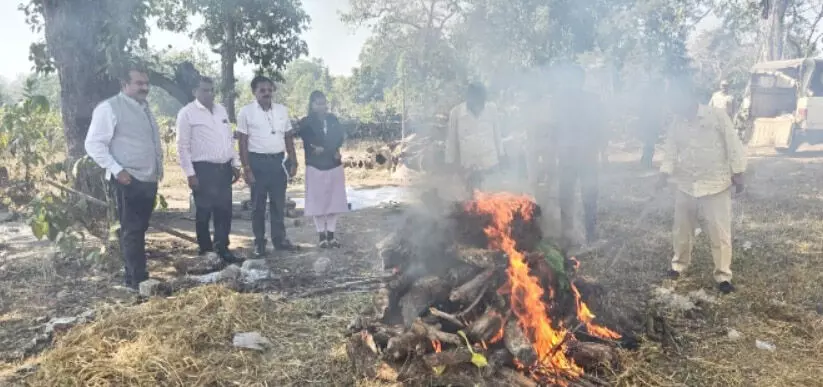 तेंदुए का अंतिम संस्कार, अज्ञात वाहन की ठोकर से हुई थी मौत