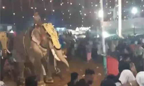 Kerala:धार्मिक समारोह के दौरान हाथी ने मचाया  बवाल