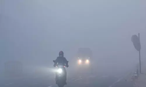 दिल्ली-एनसीआर में फिर छाया घना कोहरा, ट्रेनों-उड़ानों पर पड़ा असर