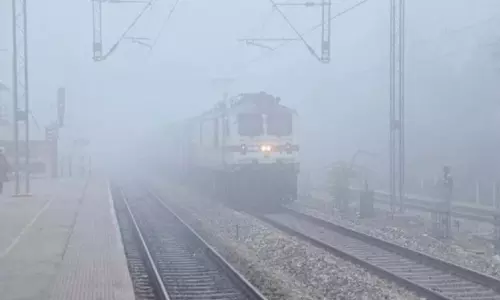 Punjab: उत्तर भारत में घने कोहरे के कारण उड़ानें और ट्रेनें रद्द