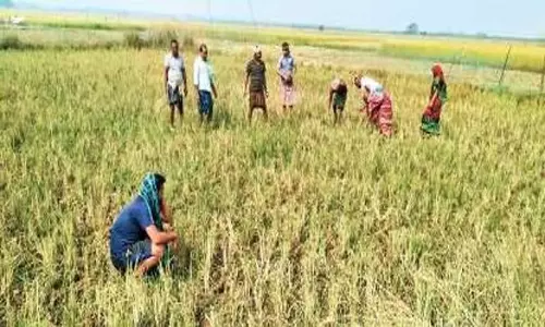 Odisha: पीपीसी खुलने में देरी से हताश किसान परेशान