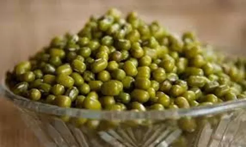 green moong dal: उबली हरी मूंग दाल के फायदे, जानें कैसे करें इसका सेवन green moong dal: उबली हरी मूंग दाल के फायदे, जानें कैसे करें इसका सेवन