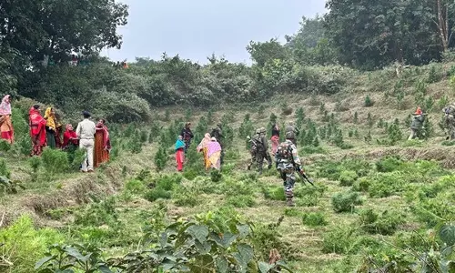 Tripura: असम राइफल्स ने सोनमुरा में 16 हेक्टेयर से अधिक गांजा की खेती नष्ट की Tripura: असम राइफल्स ने सोनमुरा में 16 हेक्टेयर से अधिक गांजा की खेती नष्ट की