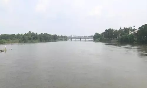 पेरियार नदी प्रदूषित होने पर अधिकारी जिम्मेदार होंगे: Kerala HC