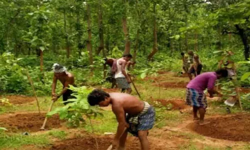 Bolangir कैम्पा फंड के दुरुपयोग का आरोप