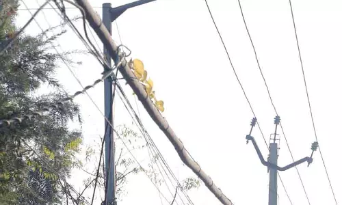 Jalandhar: गड्ढों वाली सड़कें, सीवेज की बदबू से फोकल प्वाइंट परेशान