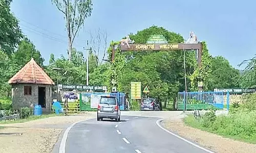 Karnataka: गर्मियों से पहले बांदीपुर अभयारण्य में आग से बचाव के उपाय शुरू Karnataka: गर्मियों से पहले बांदीपुर अभयारण्य में आग से बचाव के उपाय शुरू