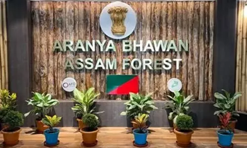 Assam: राज्य भर में आईएफएस अधिकारियों को पदोन्नत किया गया