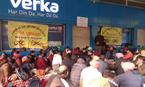 Verka कर्मचारियों का धरना जारी, सेवा नियमों में बदलाव की मांग