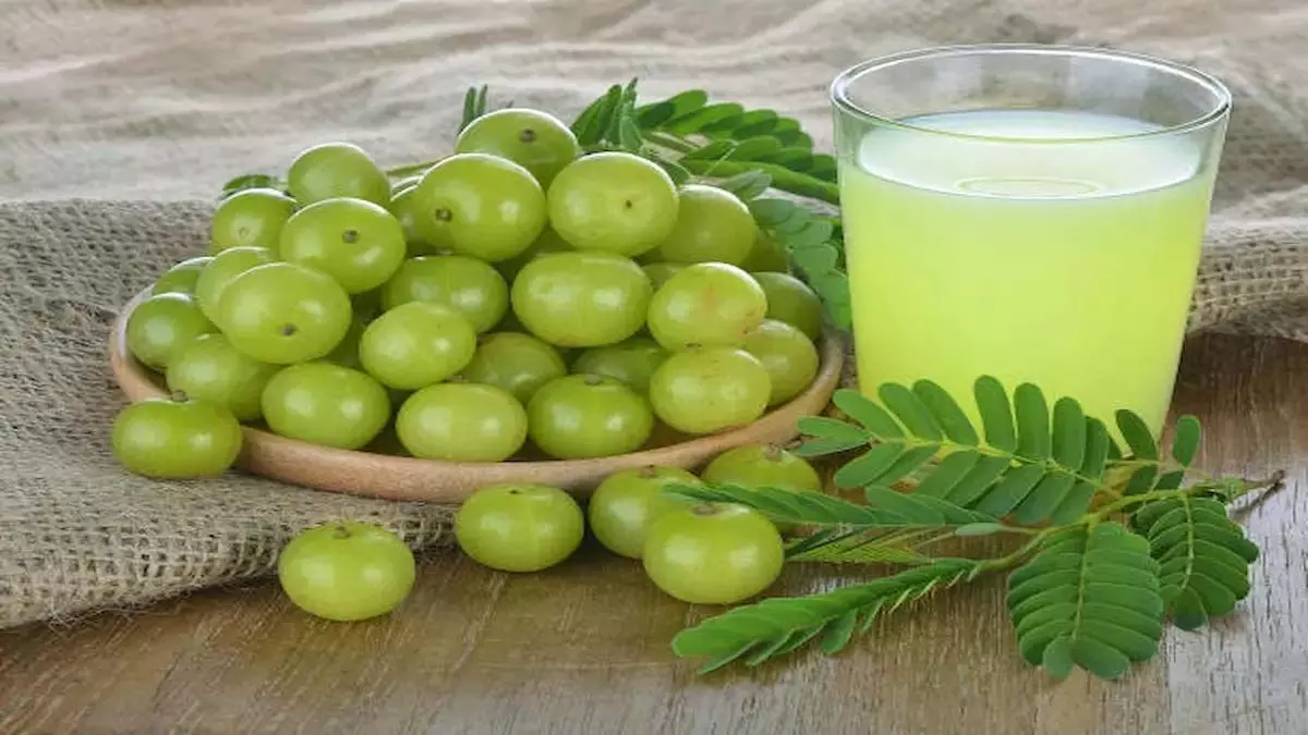 Amla Water Benefits: आंवला पानी पीने से मिलते हैं जबरदस्त स्वास्थ्य लाभ