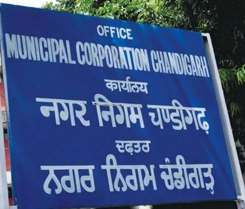 Chandigarh: नगर निगम ने 346 वेंडिंग स्थल आवंटित किए