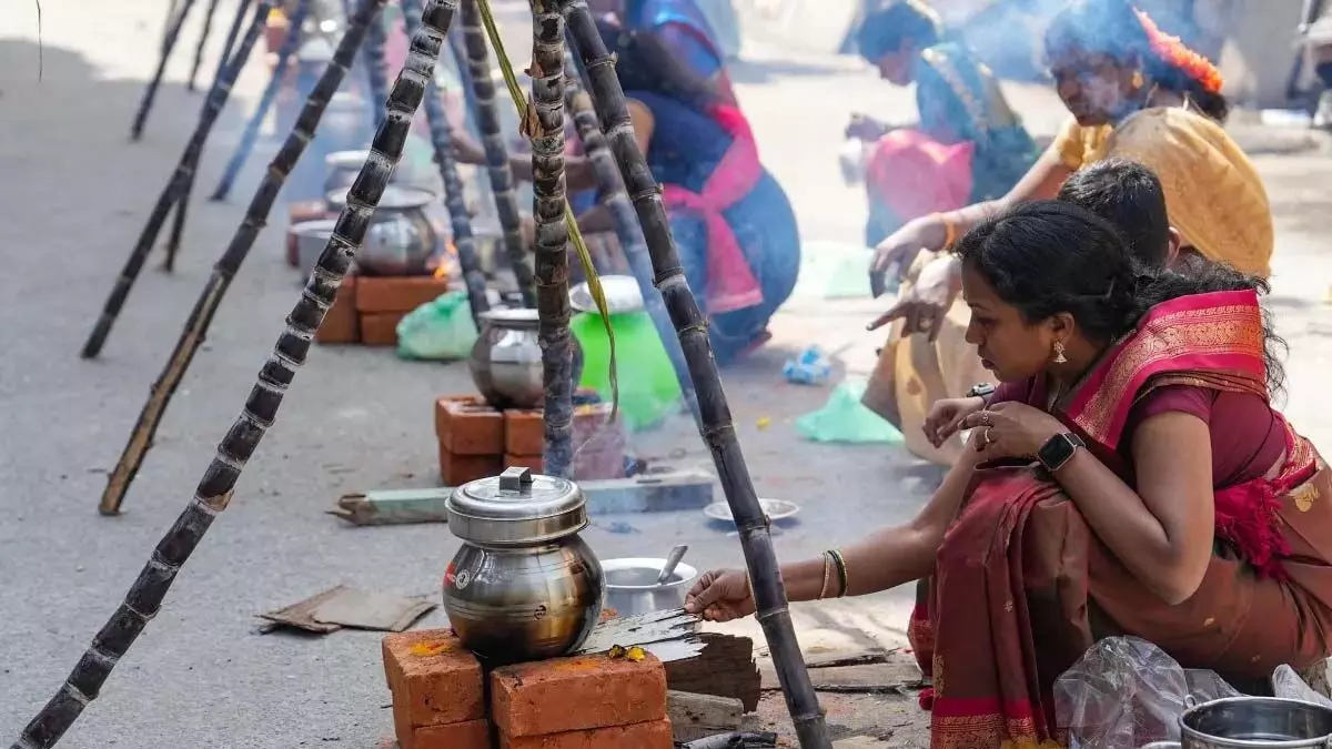 Tamil Nadu: क्या, पोंगल पर बारिश होगी?