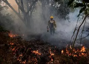 Argentina के राष्ट्रीय उद्यान में लगी आग ने 3,500 हेक्टेयर क्षेत्र को नष्ट कर दिया