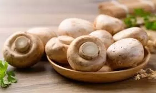 Mushroom Recipes: खाने का स्वाद बढ़ा देंगी मशरूम की ये डिशेज Mushroom Recipes: खाने का स्वाद बढ़ा देंगी मशरूम की ये डिशेज