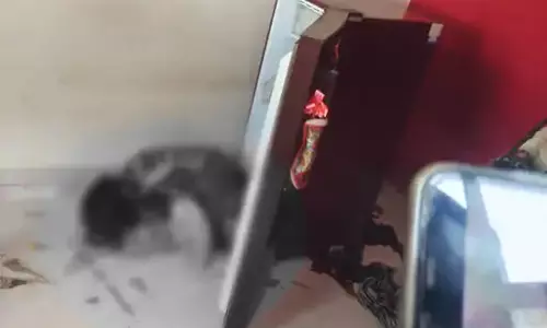 फ्रिज में मिली महिला की लाश, किराएदार ने 6 महीने पहले छोड़ा था घर, लेकिन...