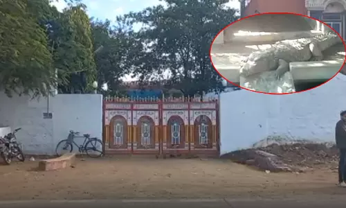 बाप रे बाप...आयकर विभाग की छापेमारी में घर में मिले मगरमच्छ, मचा हड़कंप