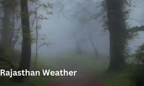 Rajasthan Weather :  घने कोहरे और बारिश का डबल अटैक