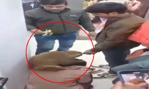 एक बंदर मॉल के अंदर, धमाचौकड़ी का VIDEO वायरल