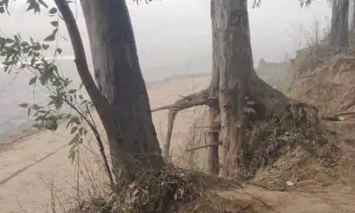 PAC: सिंचाई विभाग के अधिकारियों और अन्य के खिलाफ FIR दर्ज करें PAC: सिंचाई विभाग के अधिकारियों और अन्य के खिलाफ FIR दर्ज करें