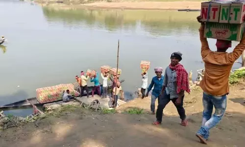 Assam ने बांग्लादेश को 5 लाख प्रीमियम मंदारिन संतरे निर्यात किए