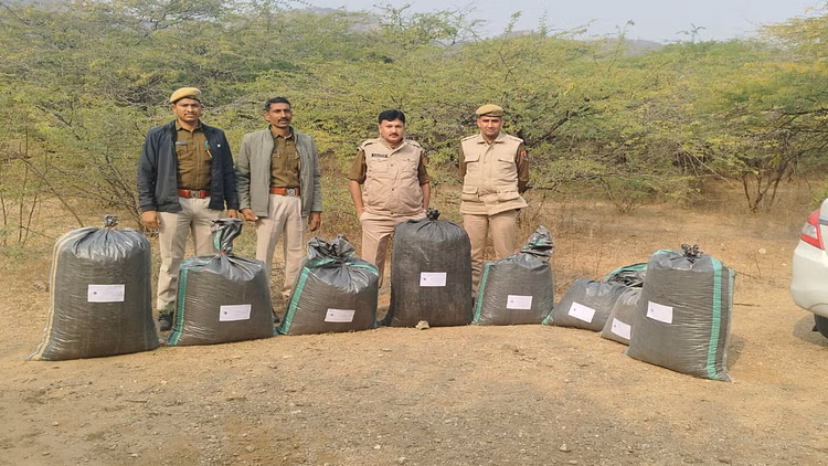 Sirohi: नाकाबंदी के दौरान टैक्सी पासिंग कार में ले जाया जा रहा डोडा पोस्त जब्त