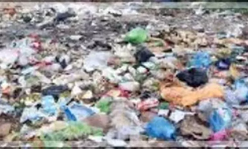Goa प्रदूषण नियंत्रण बोर्ड ने केर्या कुआं-बेथोरा स्क्रैपयार्ड में अवैध कचरा डंपिंग की जांच की Goa प्रदूषण नियंत्रण बोर्ड ने केर्या कुआं-बेथोरा स्क्रैपयार्ड में अवैध कचरा डंपिंग की जांच की
