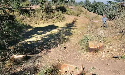 Shimla की हरित पट्टी का विस्तार तारा देवी तक किया गया