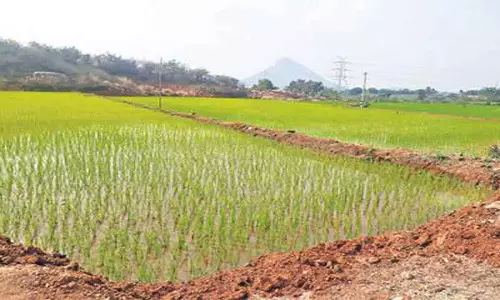 रामाजी थांडा के किसानों ने SRSP पानी के लिए किया प्रदर्शन