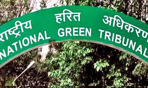 NGT : डीपीसीसी के सदस्य सचिव को कारण बताओ नोटिस जारी NGT : डीपीसीसी के सदस्य सचिव को कारण बताओ नोटिस जारी