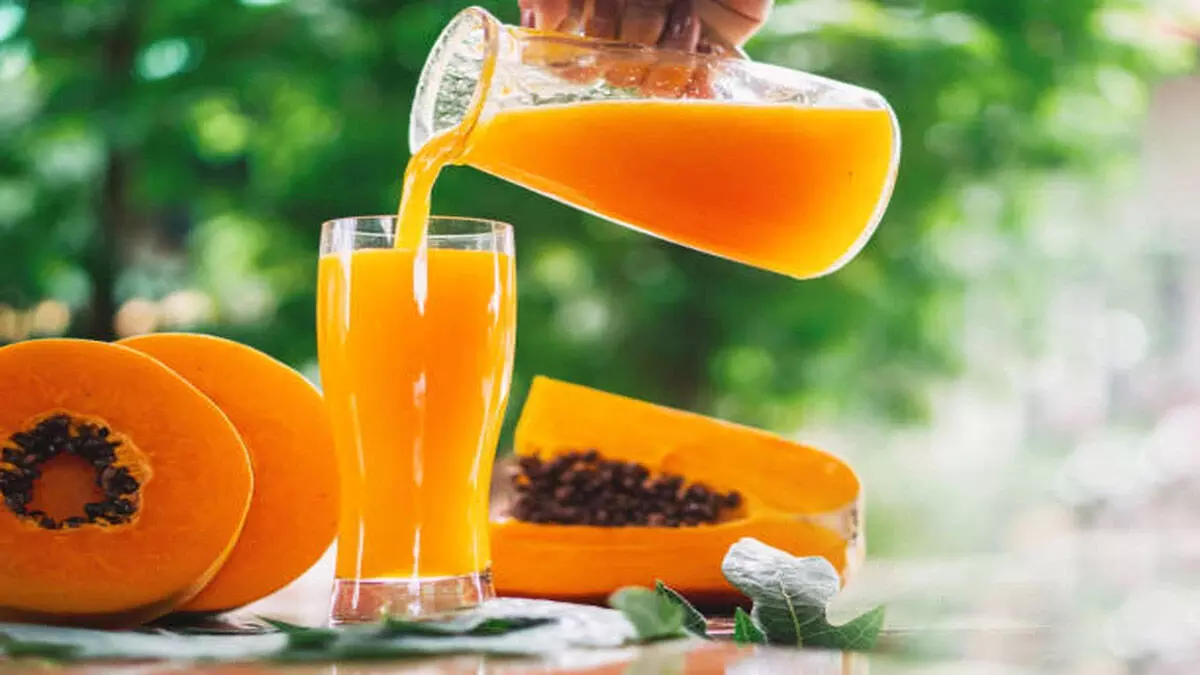 Papaya Juice Benefits: सर्दियों में पपीते का जूस पीने से मिलते हैं कमाल के फायदे