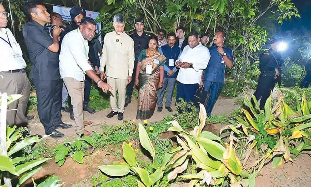 Andhra: करियर छोड़ जड़ों की ओर लौटा धरतीपुत्र