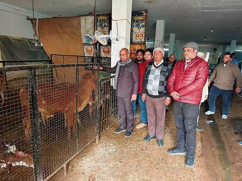 Haryana गौ सेवा आयोग के अध्यक्ष ने अंबाला में गौशालाओं का निरीक्षण किया