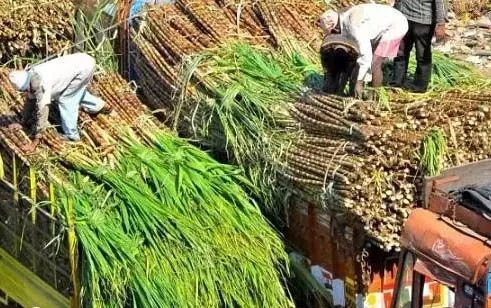 Odisha : एसीएसआईएल की प्रबंध समिति ने गन्ने की कीमत 420 रुपये प्रति टन बढ़ाई