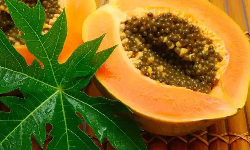 Papaya Leaf Juice:पपीते के पत्ते का रस देता है कई लाभ Papaya Leaf Juice:पपीते के पत्ते का रस देता है कई लाभ