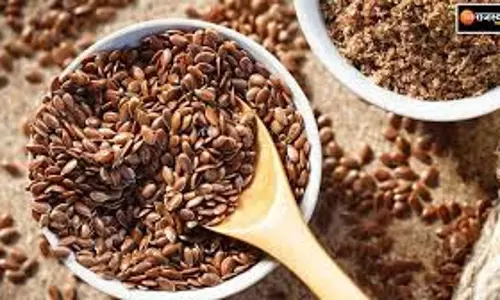 flax seeds: क्या सर्दियों में अलसी के बीज खाने चाहिए, जानिए फायदे और नुकसान flax seeds: क्या सर्दियों में अलसी के बीज खाने चाहिए, जानिए फायदे और नुकसान