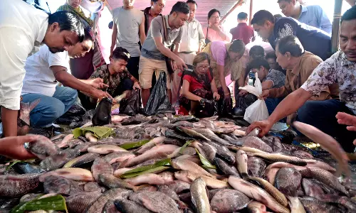 Manipur: मछली महोत्सव में एक दिन में 2.58 करोड़ रुपये की बिक्री हुई
