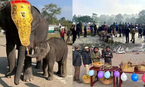 Assam : काजीरंगा की प्यारी नन्ही हथिनी परी ने मनाया अपना पहला जन्मदिन