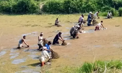 Assam : माघ बिहू उत्सव के दौरान काजीरंगा की सुरक्षा के लिए