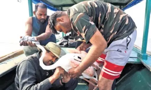 Odisha: सैटेलाइट रिंग से टैग किए गए दो फ्लेमिंगो Odisha: सैटेलाइट रिंग से टैग किए गए दो फ्लेमिंगो