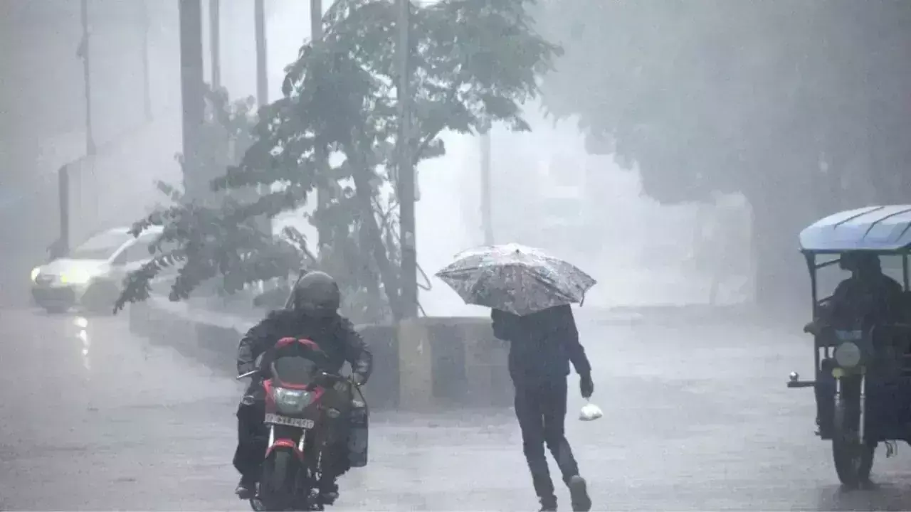 weather: भोपाल सहित कई जिलों में हुई हल्की बारिश, अलर्ट जारी weather: भोपाल सहित कई जिलों में हुई हल्की बारिश, अलर्ट जारी