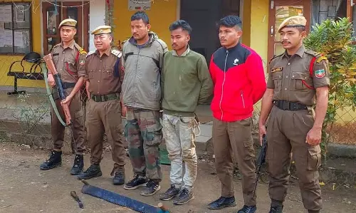 Assam वन टीम ने बोको में मूल्यवान साल के पेड़ काटने के आरोप