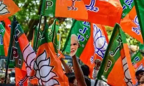 दिल्ली चुनाव के लिए भाजपा ने 29 उम्मीदवारों की दूसरी सूची जारी की