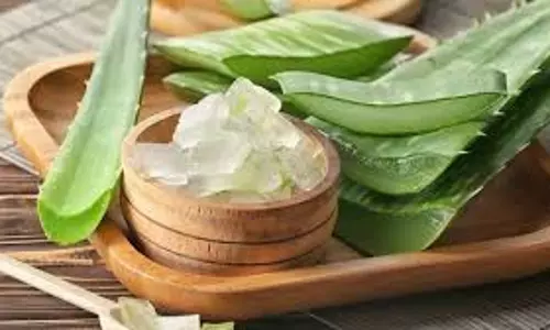 Skin Care: एलोवेरा के साथ ये चीजें मिलाकर रात को चेहरे पर लगाएं, मिनटों में चमकने लगेंगे आप