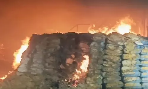 भीषण आग की चपेट में दाल मिल