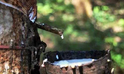 Kerala :  ब्लॉक रबर के आयात में वृद्धि से केरल के छोटे किसानों पर दबाव