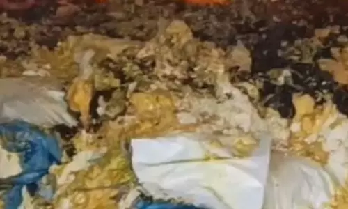 मील में आगजनी, दाल और बेसन जलकर खाक