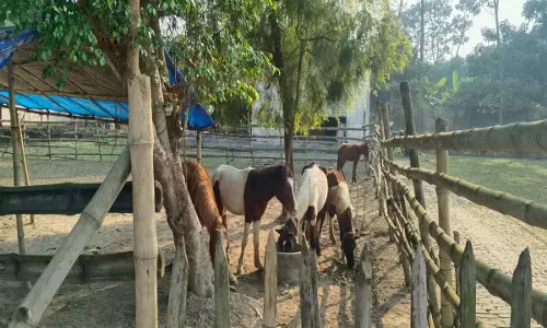 Motivational News: रतन टाटा एक प्रेरणा Motivational News: रतन टाटा एक प्रेरणा