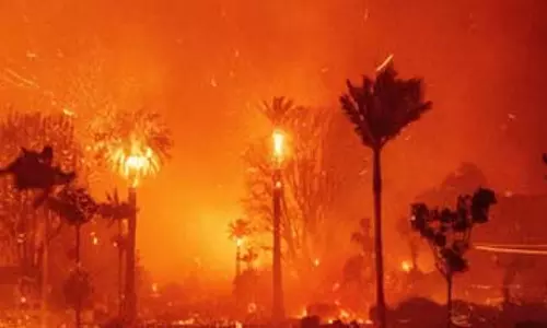 Los Angeles : जंगल की आग से मरने वालों की संख्या 16 हुई